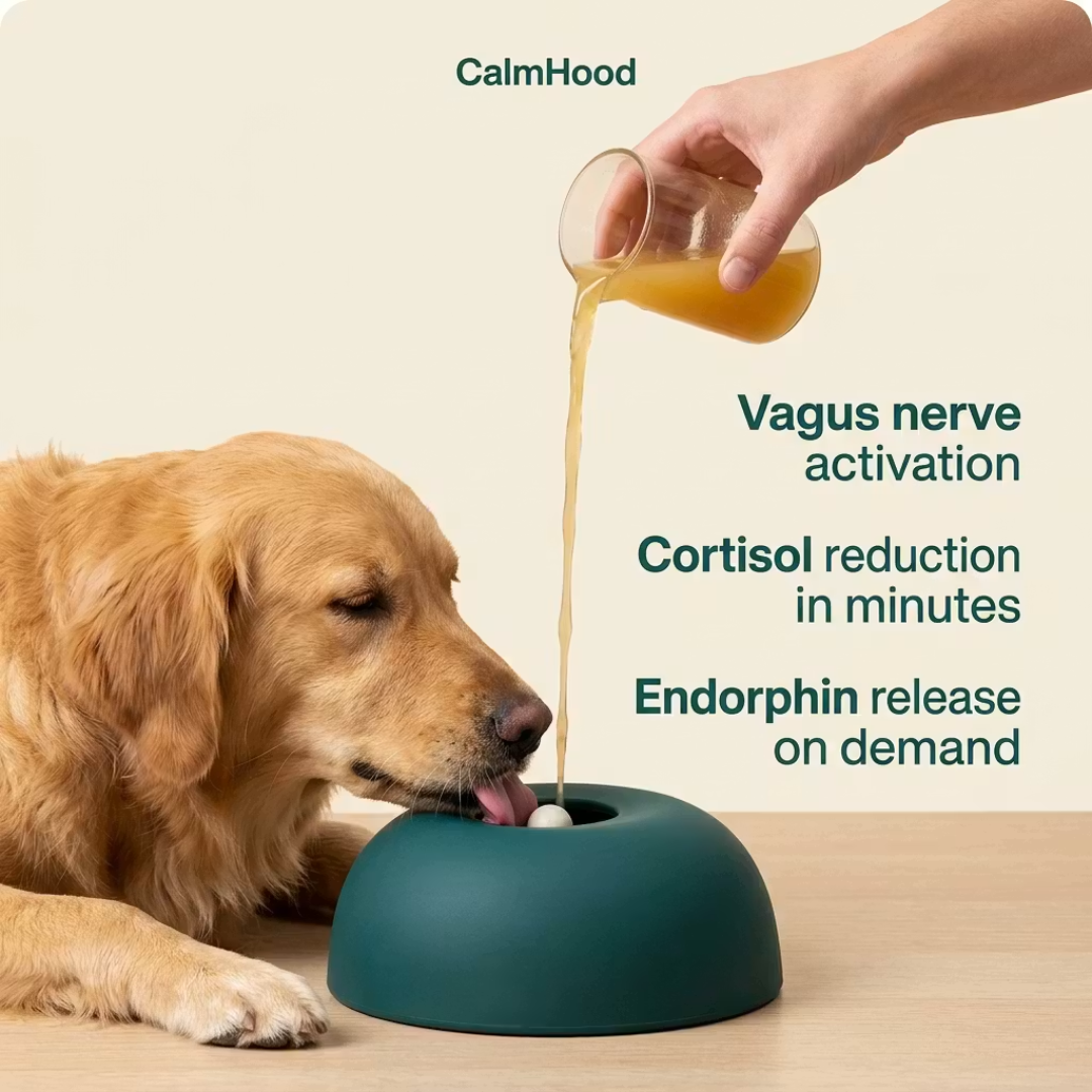 Calm Bowl — For Dogs Who Panic When You Leave